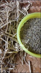 Adas Pulowaras 50gr / Adas Pulosari Asli hutan - Kualitas Terjamin