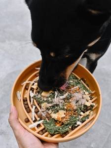 Dog Silicone Slow Feeder Dish Lick Plate with Suction Anti-choking Enrichment Pet Supplies Dog Slow Feeding Bowl TUDOU