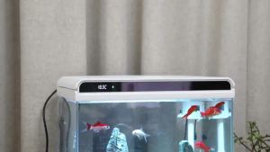 Table top fish tank set aquarium fish tank set aquarium water tank fish aquarium small fish tank small desktop home aquarium 鱼缸