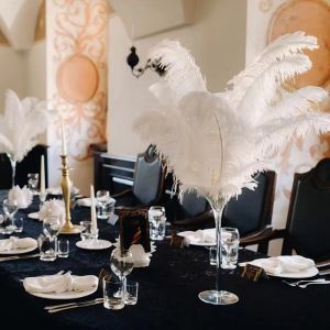 Fluffy Ostrich Goose & Peacock Feather Assortment DIY Jewelry Craft Supplies Wedding Carnival Home Floral Arrangement Decor