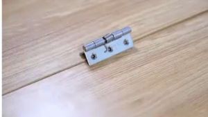 🔥BEST SELLER🔥【EliteHome】(2 Pcs) 2/2.5/3/4 Stainless Steel Self Closing Spring Hinges Automatic Close