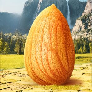 Healthy Snack Pistachio Kernels 30gx10bags Casual Leisure Three Squirrels Honey Butter Flat Almond Nuts from Anhui China