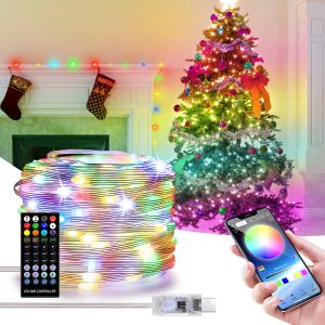 Dây Đèn Led nháy đuổi Trang Trí Giáng Sinh RGB USB 5V chống nước có chỉnh app điện thoại