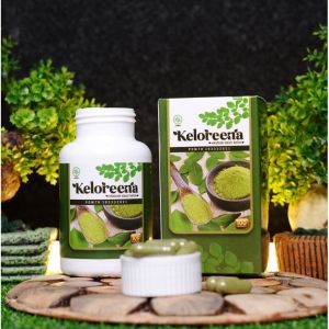 Obat Epilepsi Kejang Kejang Obat Herbal Penyakit Ayan Obat Kejang Epilepsi Dewasa Obat Sering Kejang Obat Sakit Kepala Sebelah Kanan/Kiri Obat Gangguan Syaraf Otak Obat Sakalor Obat Kejang Kejang Mendadak Dengan Keloreena