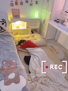 Sofa Bed Minimalis Kursi Santai Dewasa Kursi Lipat Lesehan