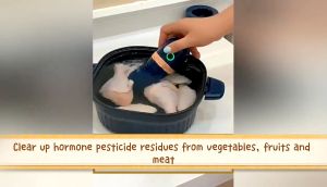 【lazada Choice】local seller Protable Fruit Vegetable Washing Machine Shape Wireless Food Purifier Household Pesticide Disinfection vegetables蔬果淨化器
