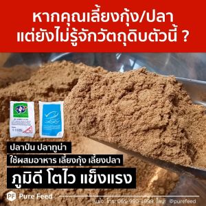 ปลาป่นโปรตีนสูง 55% เพียวฟีด ผสมอาหารเพิ่มโปรตีน หอมปลาทูน่า กระตุ้นการกิน โตไว ตัดโรคเสริมภูมิ เหมาะสัตว์น้ำ และปศูสัตว์ 1 แพค 500g P55