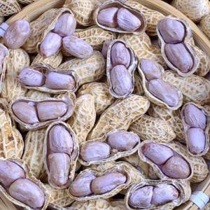 Boiled and Sun-dried Salted Peanuts