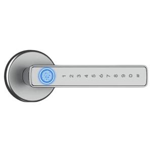 FALEISTON | Smart Biometric Office Door Lock