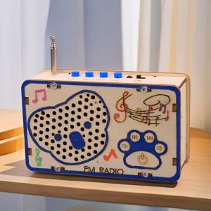Children's DIY Radio Making Kit STEM Science Experiment Educational Toys Small Invention Handcraft Material Package