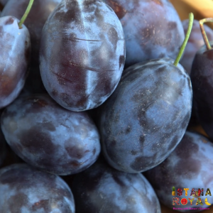 DELECTABLE SUGAR PRUNES IMPORTED FROM CHINA - 315G PACK - ISTANA ROYAL FRUITS