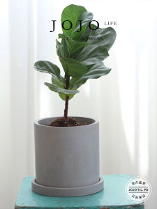 Large Size Cylinder Square Potted Plant with Tray Breathable Desktop JOJOS L PD.Cutting Decorative Flower Pot Nordic Style Home Decoration