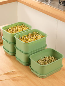 MRUN | Food Grade Large Germination Tray