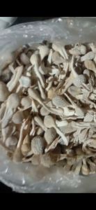 mpot PUTIH 100gr 250gr 500gr 1kg