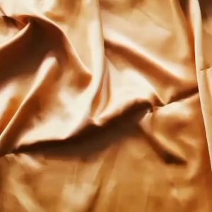 GMB Buku Anak Ensiklopedia Si Kecil Ranah Buku