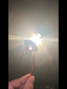 Bóng đèn HALOGEN OSRAM H1-24V-70W màu trắng chính hãng