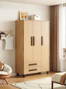 Pashaman | Segmented Storage Closet Wooden Style Small Spaces