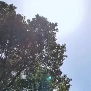 [TRONG] Rèm Che Nắng Ô Tô Ngoài Trời Kính Lái Automatik Che Mưa Cửa Kính Trước Sau Laser Cách Nhiệt Chống Thấm Nước