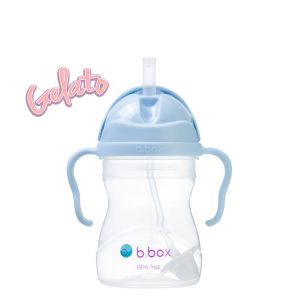 Bbox Sippy Straw Cup & Feeding Gift Set: A Comprehensive Guide