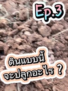 BITO SOIL ไบโตซอยล์ สารเสริมจุลินทรีย์ เพิ่มธาตุอาหาร บำรุงดิน ปรับสภาพดิน ดินคุณภาพดี kaideeshop888 ของแท้100%