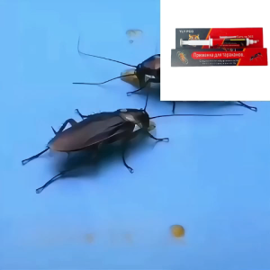 Japan Cockroach Gel Bait For home and car Death from infection Non-toxic to pet and people Repellent Cockcroach killer Poison Cockroach Traps