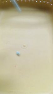 Mote Manik Manik Bulat Mutiara Variasi Warna Ukuran 6 Mili Berat 10 Gr