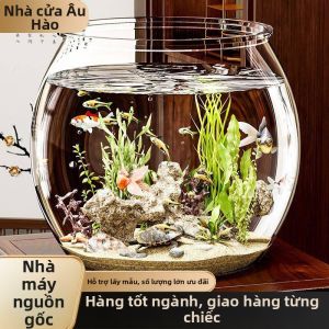 Bơm Oxy Lọc Chế Độ tuần hoàn