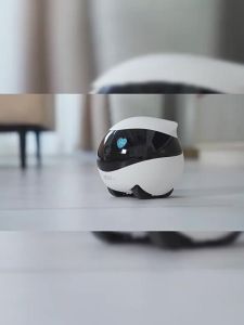 Enabot | Intelligent Mobile Webcam for Remote Pet Monitoring