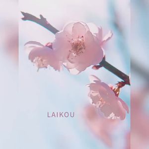 LAIKOU Sakura Face Lotion Moisturizing Essence Shrink Pores Repairing Improve Skin Elasticity 100ML