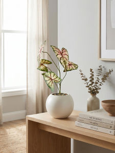 Artificial Plant Decor Nordic Style Indoor Ornament