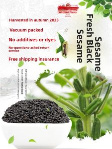 Authentic Fresh Black Sesame Seeds 500g Unwashed Natural Color Preserved Vacuum Packaged Home Use Grain Product from Zhuzhou City