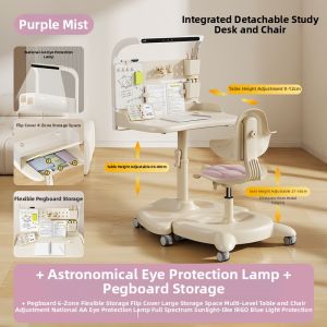 TEN-WIN | Multifunction Detachable Study Table and Chair Set
