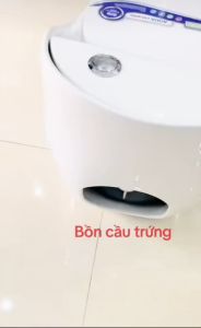 L.Hê Freeship Bồn Cầu Trứng Cao Cấp Men Nano Phủ Ceramic Chống Bám Bẩn Xả Mưa Kết Hợp Đẩy Mạnh Nắp Rơi Êm - Bảo Hành 15 Năm