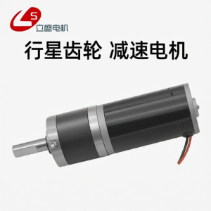 High Torque DC Speed Reduction Motor 32mm