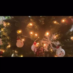 BIN LU 30Pcs Snowflakes Ornaments Kit - Snow Flakes Christmas Decor Snowflakes Garland & White Christmas Decorations Snowflakes Decoration with Christmas Tinsel Garland Christmas Tree Decorations for Xmass Decoration Sale & Xmas Tree Decor