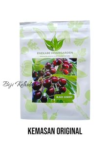 10 BUTIR BENIH TANAMAN BLACK CHERRY (KEMASAN ORIGINAL)
