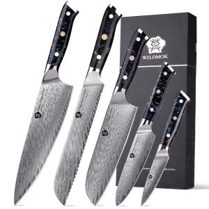 WILDMOK 5Pcs 67 Layer VG10 Damascus Steel Chef Knife Set Black Resin Handle Professional Kitchen Knives with Gift Box