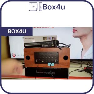 ZANSONG V10 / V20 professional UHF Single / dual Wireless Karaoke microphones system kits 2 Channel Cordless handheld MIC