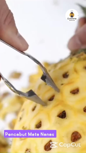 Alat kupas Mata Nanas stainless steel