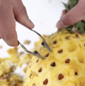 Capitan Penjepit Mata Nanas Alat Pengupas Stainless Steel Pinset Kupas Buah Pencabut Pencapit Jepit