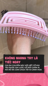 Lược Chải Tóc Gỡ Rối Chuyên Dụng Ngăn Ngừa Rụng Tóc
