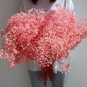 Eternal Flower Dried Flower Bouquet Natural Air-Dried Large Bouquet Home Decor Living Room Decoration Artificial Flower Arrangement