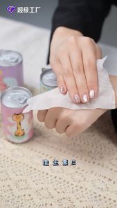 1 Bottle Wet Tissue 30 pcs mini wet Wipes (Buy 10 Free 2)