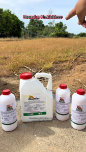 [Original] Roundup 1 Liter Herbicide Bayer Powerful Glyphosate Weed Killer Fast Results PH