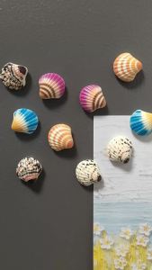 5pcs Colorful Resin Shell Fridge Magnets Seashell Magnetic Sticker Kitchen Home Decorative Ornaments
