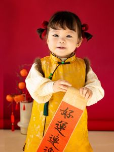 Chinese Style Silk Embroidered Cotton Baby Girls First Year Birthday Dress Festive New Year Cheongsam Clothing Traditional Chinese Culture