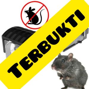 Perangkap Tikus Besar Ampuh Kuat / Jebakan Tikus Otomatis Besar Jumbo Mouse Trap