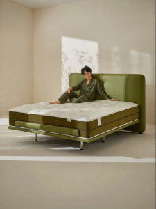 AI Lumbar Support Intelligent Adjustable Multifunction Quiet Mattress