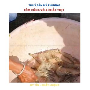 Khoáng trộn nhập Thái Lan kích thích lột xác ngừa cong thân đục cơ PIO SOL tăng cơ chắc thịt ngừa tôm xanh da trời rớt cục thịt nuôi tôm thẻ cá lươn ếch ốc ba ba