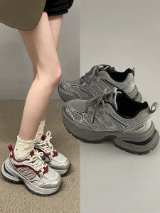 Silver Dad Shoes: A Comprehensive Guide to Women's Chunky Sole Sports Casual Shoes